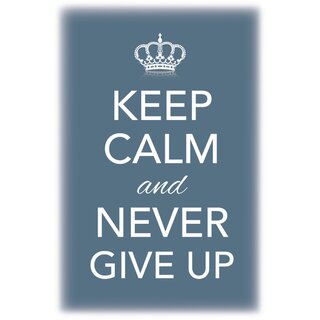 Schild Spruch "Keep calm and never give up" 20 x 30 cm Blechschild